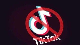 黄寅烨有tiktok号